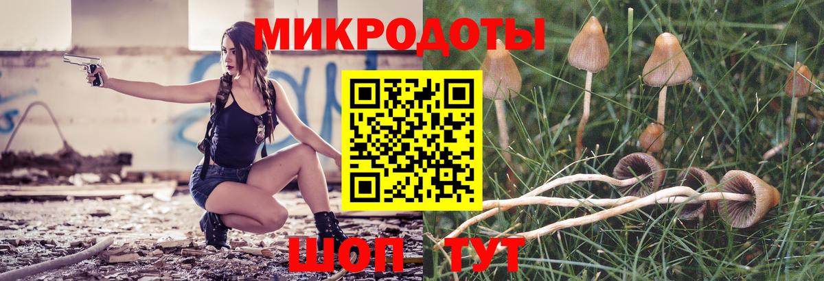 Нефтекумск  где купить наркотик  Вход с VPN  Галлюциногенные грибы Cubensis  Псилоцибиновые грибы мухоморы 